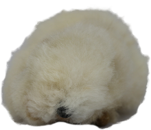 Load image into Gallery viewer, 100% Alpaca Fur Large Guinea Pig