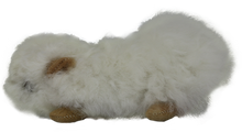 Load image into Gallery viewer, 100% Alpaca Fur Large Guinea Pig