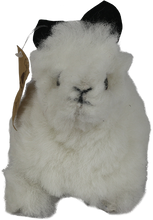 Load image into Gallery viewer, 100% Rodger Alpaca Fur Stuffed Bunny
