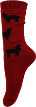 Load image into Gallery viewer, Alpaca Llama Print Socks