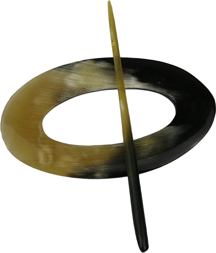 Oval Longhorn Pin