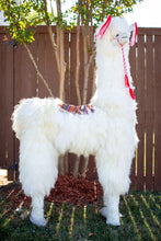 Load image into Gallery viewer, Life Size Llama Alpaca Fur