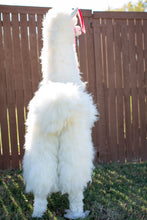 Load image into Gallery viewer, Life Size Llama Alpaca Fur