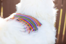 Load image into Gallery viewer, Life Size Llama Alpaca Fur