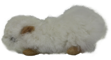 Load image into Gallery viewer, 100% Alpaca Fur Large Guinea Pig
