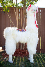 Load image into Gallery viewer, Life Size Llama Alpaca Fur
