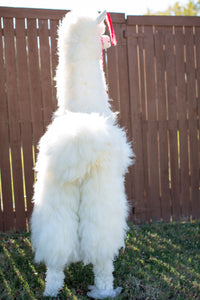 Life Size Llama Alpaca Fur